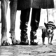 Illustration for article titled Even In The 1900s, Humans Were Obsessed With Photos Of Dogs In Clothes